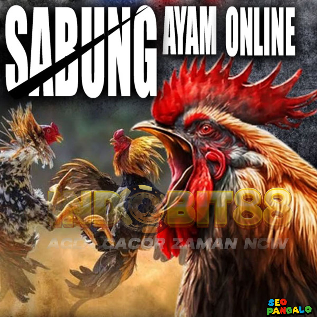 SV388 ? Situs Agen Sabung Ayam Online 7x Win Beruntun Live 24 Jam