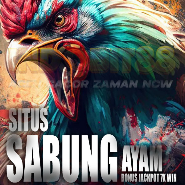 SV388 > Situs Terbaik Agen Judi Sabung Ayam Online Terpercaya 2025