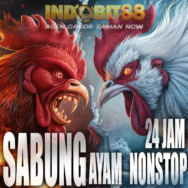 SV388 ? Situs Terbaik Agen Sabung Ayam Online Live 24 Jam Nonstop